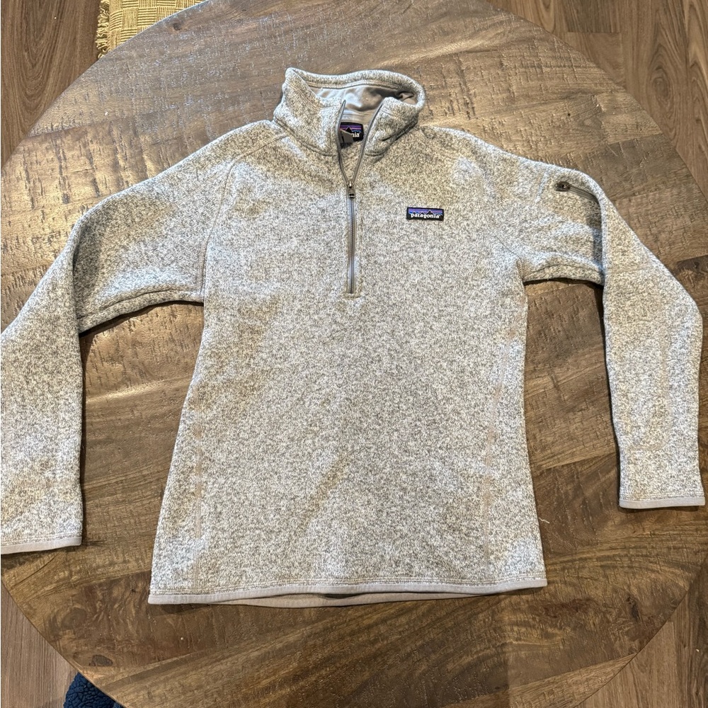 Patagonia Light Gray Fleece Pullover
